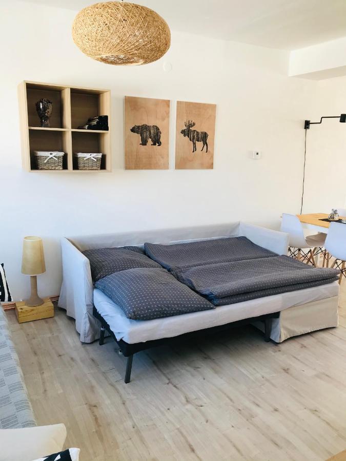 Apartmán Orlické Záhoří Extérieur photo